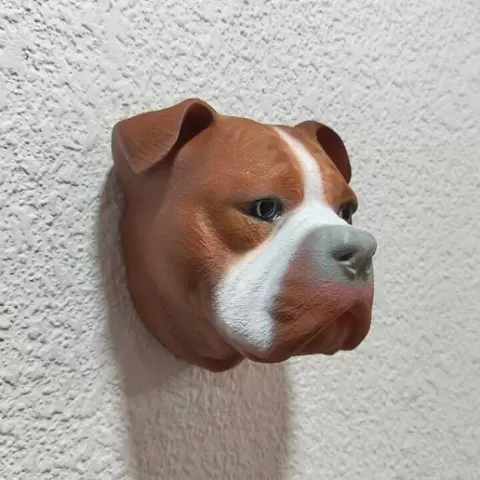 American Bully Pitbull head wall mount