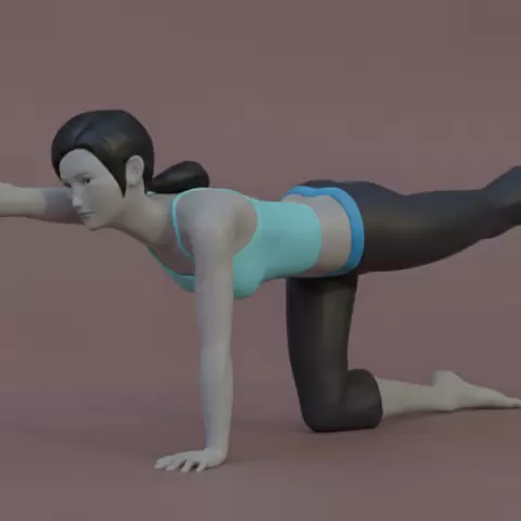 Dandasana Yoga Pose STL - Staff Pose with Variation Female Fitness