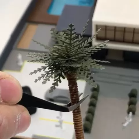 Palm Tree