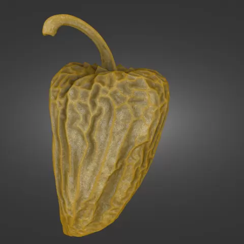 Wrinkled Jalapeño Pepper 2-Piece Set — Whole & Half — Laser-Scanned 3D Models (500k, 700k & 1.5M OBJ/STL) - By ScanPantry