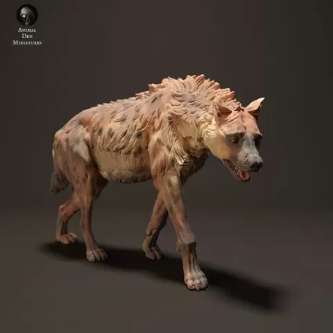 Spotted Hyena