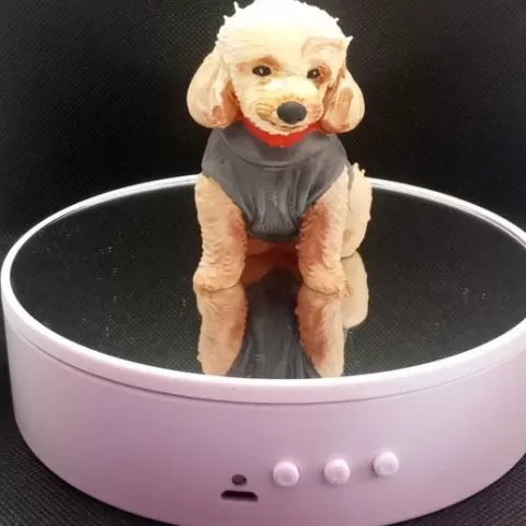 Poodle
