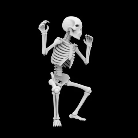 Cute Skeleton 3D Print Model
