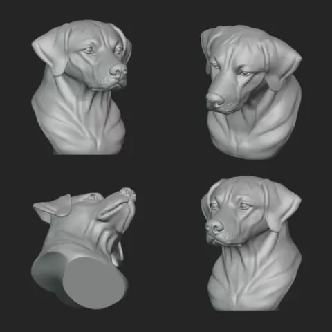 RHODESIAN RIDGEBACK BUST 3D STL FILE | RHODESIAN RIDGEBACK BUST DIGITAL FILE