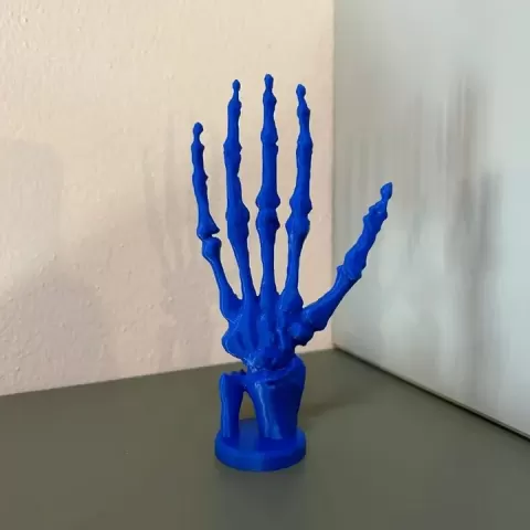 Anatomy of the Bones of the Hand for Medical & Educational 3D Printable Model by Segovia Veronica