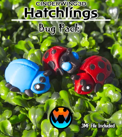 Beetle - Hatchling
