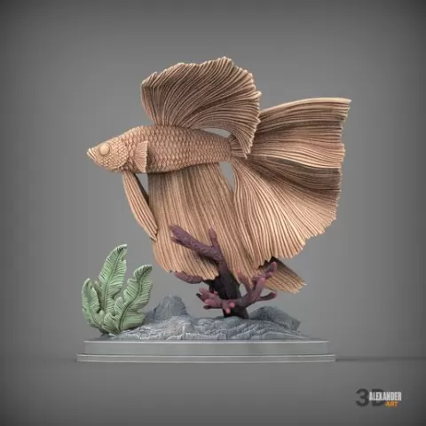 cockerel fish