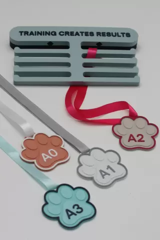 AGILITY MEDAL DISPLAY SET