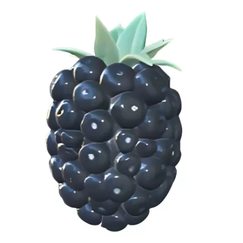Realistic Blackberry