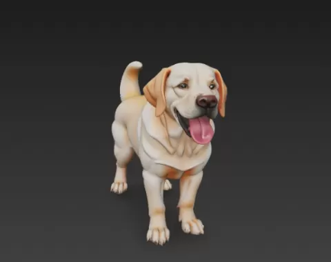 Labrador Retriever