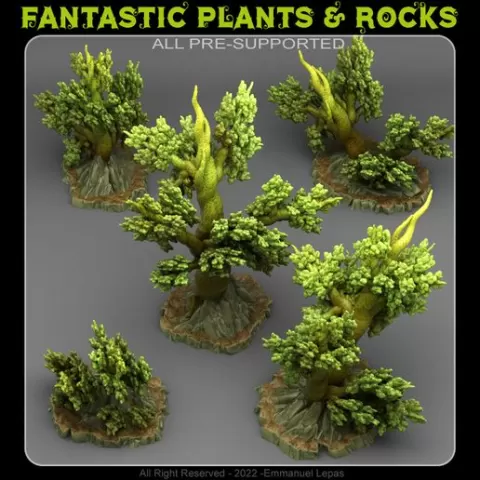 ANGERVINE TREES