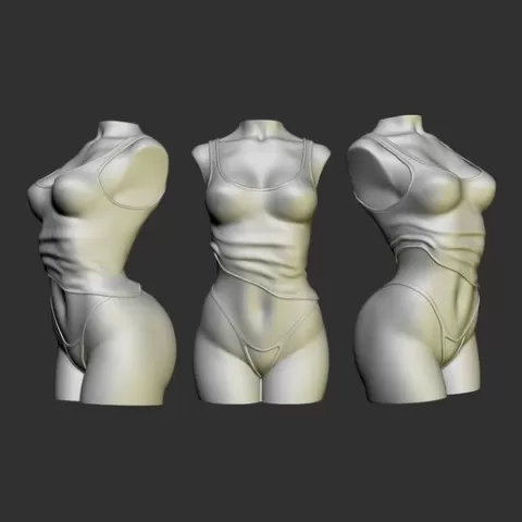 Female Torso