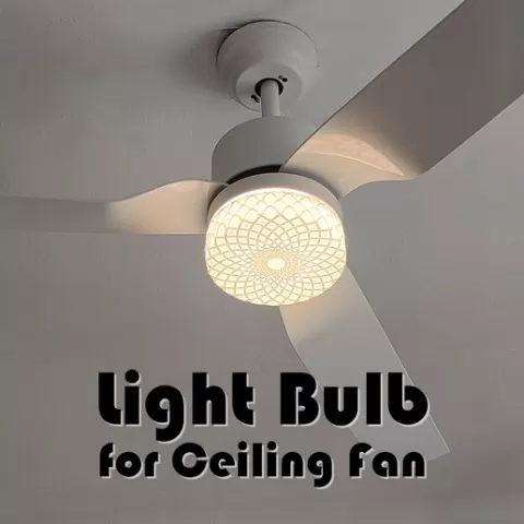 Ceiling Fan Light Bulb
