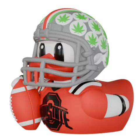 Ohio State Buckeyes
