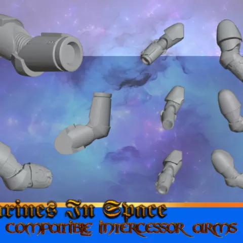 Intercessor Grip Compatible Arms