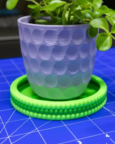 Beady Hydration Tray Collection // 3 Sizes Planter Drip Trays