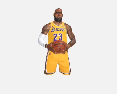 LeBron James - Figure