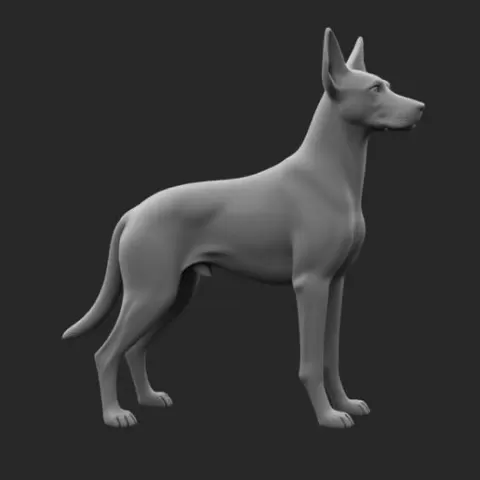 Belgian Malinois 🐕 v2