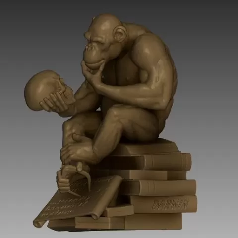 Thinking Ape Evolution Inspired