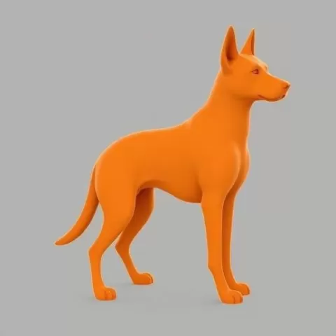 Belgian Malinois Dog 🐕🛡️