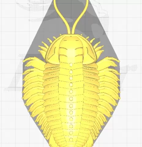 3D model represents a trilobite
