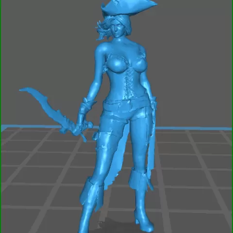 Pirate Captain