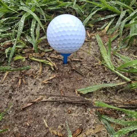 Golf Tee