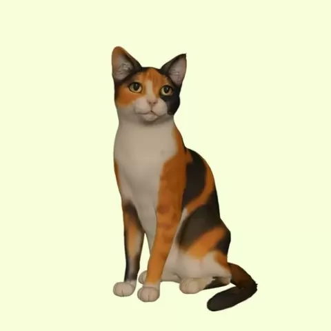 Calico Cat Sitting