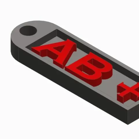 AB + Blood Type Keychain