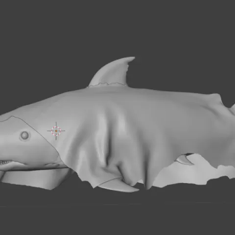 Ghost shark