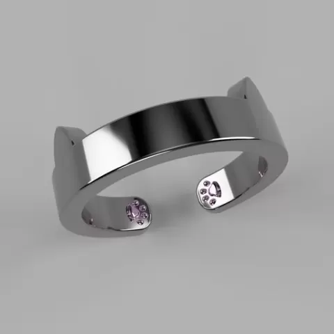 RING paw