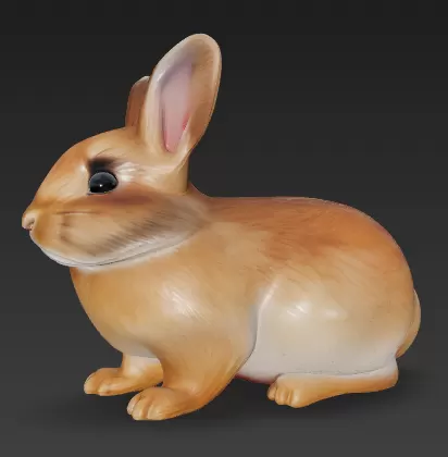 Rabbit