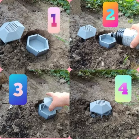 Snail trap
