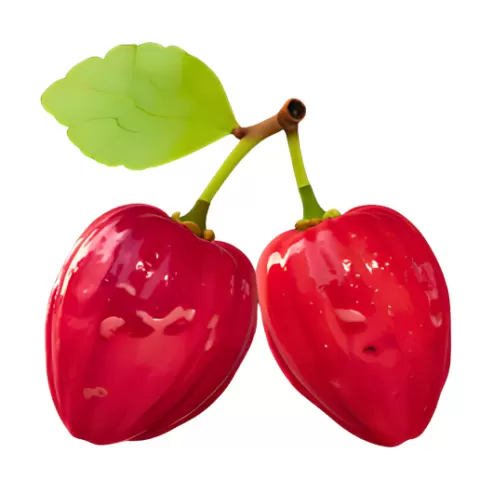 Ackee Fruit 3D Model