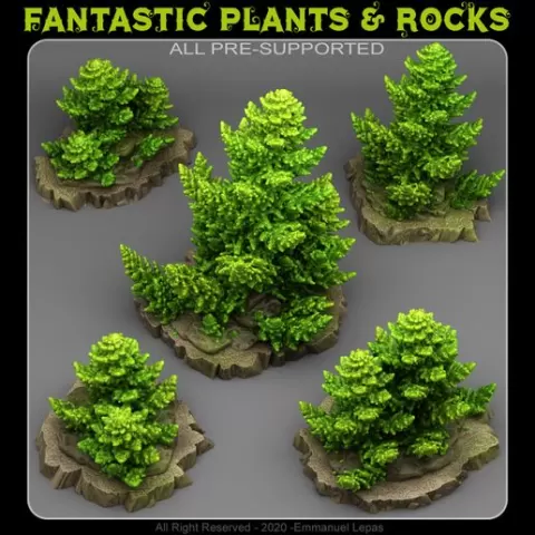ANCIENT PINES