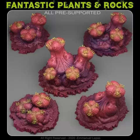 ORGANIC MUSHROOMS