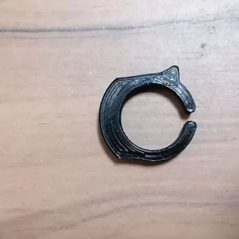 Training ring for shooting exercise