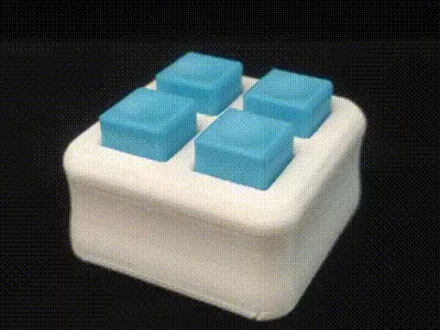 Quad Toggle Fidget Toy
