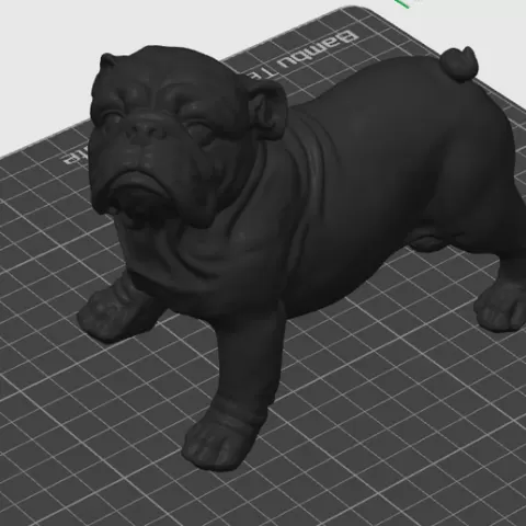 bulldog