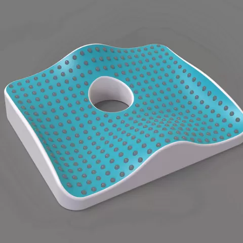 Cushion