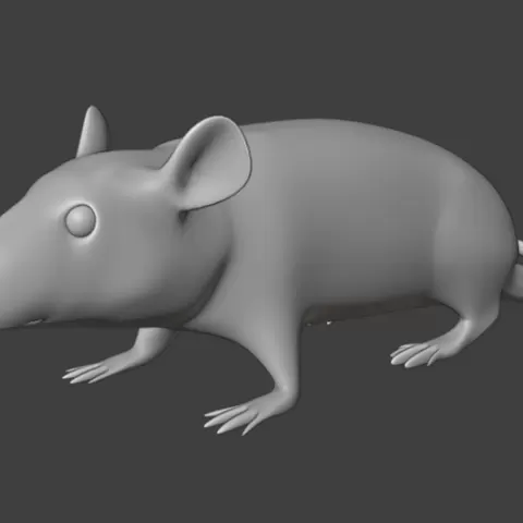 3D RAT model