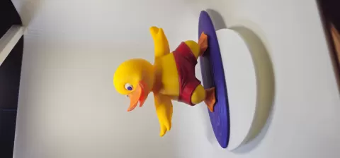 Surfer Duck