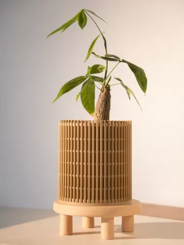 Lattice Planter