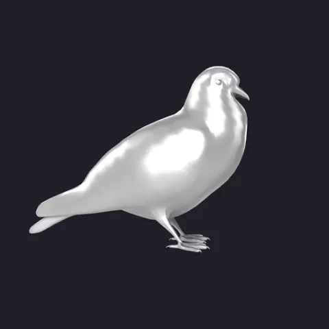 pigeon 3D MODEL