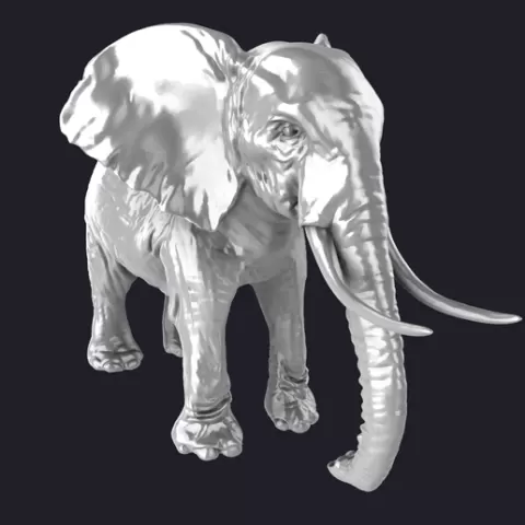 elephant 3D MODEL