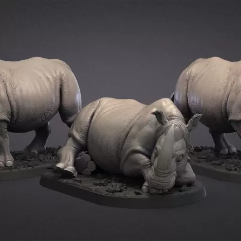 Rhinoceroses. Print models.