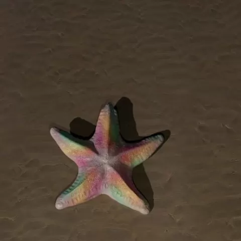 starfish