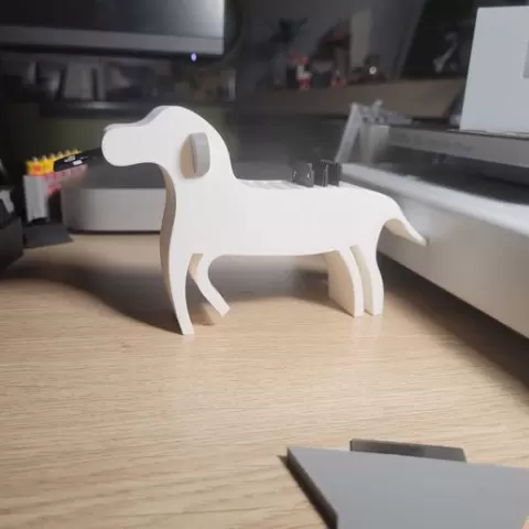 "Dogo" SD card organizer