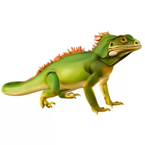 Realistic Iguana