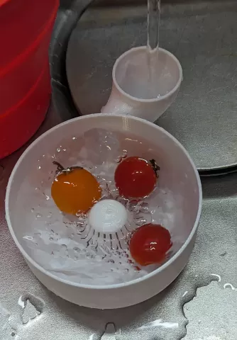 Automatic vegetable and fruit washer- no supports and no assembly required (SMALL version)